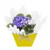 Vaso de flor violeta