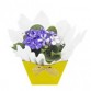 Vaso de flor violeta OU Kalanchoe 